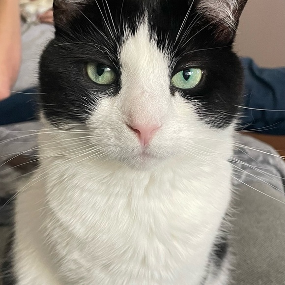 Going on live @4EST  bundle JACKETS/COATS 2 + 2 tray ❤️💚 - Picture 1 of 3